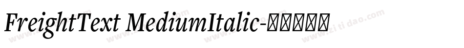 FreightText MediumItalic字体转换